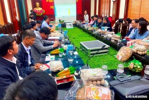 KHOA KT&PTNT HỖ TRỢ TƯ VẤN PHÁT TRIỂN SẢN PHẨM OCOP HUYỆN CẨM GIÀNG TỈNH HẢI DƯƠNG