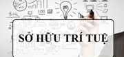 Hồ sơ duy trì, gia hạn hiệu lực văn bằng bảo hộ