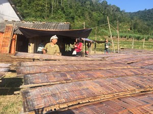Làng nghề miến dong Phia Đén