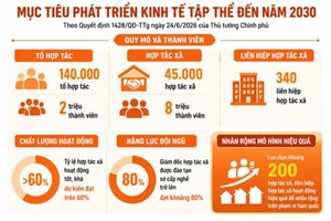 Chương trình tổng thể về phát triển kinh tế tập thể 2026-2030