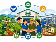 Quy định về tên trùng và tên gây nhầm lẫn của tổ hợp tác, hợp tác xã, liên hiệp hợp tác xã